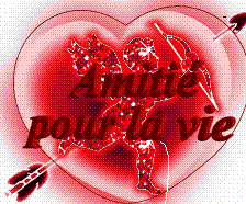 Aiti&eacute; pour la vie